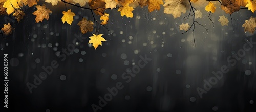 rain in the autumn setting