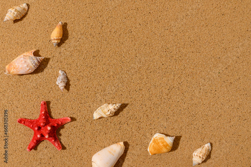 Red star, seashells on the sand. Place for text.