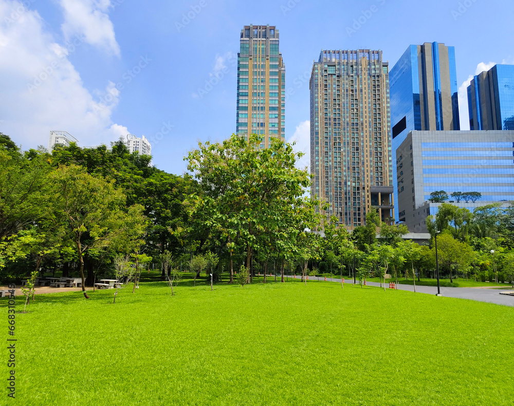 Lawn in the park. Behind view are trees and condo buildings.