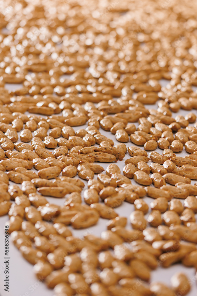 Closeup peanut shape biscuit production on conveyor belt, Food industry factory. Modern line for bakery cookies Closeup peanut shape biscuit production on conveyor belt, Food industry factory. Modern line for bakery cookies