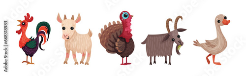 Farm Animals with Cockerel, Goat, Goose and Turkey Vector Set