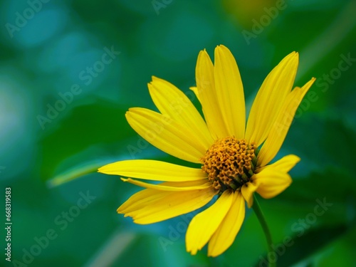 Summerfeeling