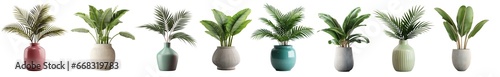 Collection of tropical banana trees (Musa spp.) and coconut palm plants in colorful or gray vases, isolated on a transparent background. PNG cutout or clipping path. photo