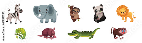 Cute African Animals and South Wild Fauna Vector Set