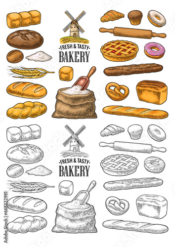 Set bread. Mill on wheat field. Vector color and black vintage engraving