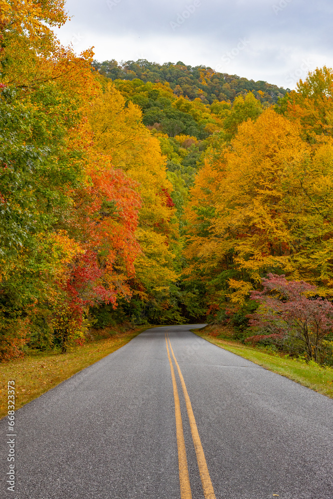 Looking down a mountain road which disappears into a fall foliage forest