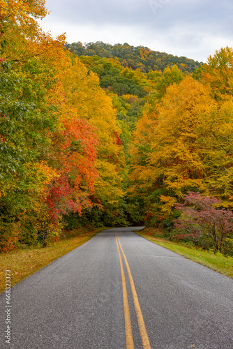Looking down a mountain road which disappears into a fall foliage forest