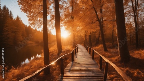 autumn in the forest panoramic autumn landscape wooden path fall nature background