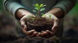 Hands holding young plant with soil in nature background, save earth concept
