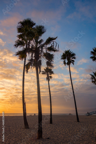 Colorful Venice Beach Sunset at the Venice Fishing Pier. Silhouetted palm trees and lifeguard huts and scattered clouds. 