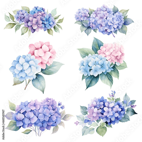 Beautiful bouquets with blue and purple hydrangea flowers watercolor paint on white background set