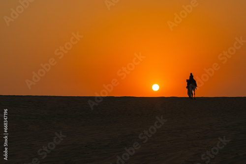 Camel Caravan at Sunset Time in the Doha Desert Photo  Doha Qatar