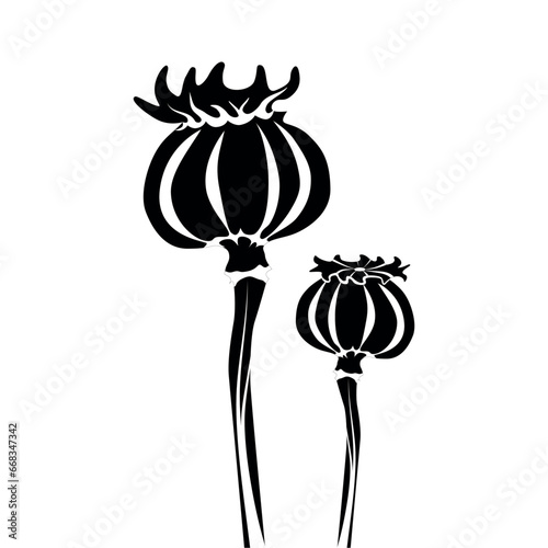 Poppy plant head vector isolated. Highly addictive drug opium concept. Narcotic flower, illegal drug.