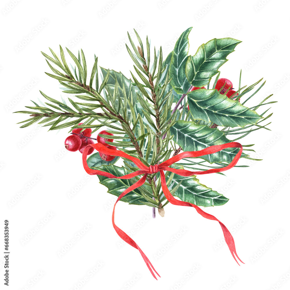 Composition of pine, spruce branches, Holly leaves with bright berries, lingonberry. Winter bouquet decorated red bow. Watercolor illustration for Xmas decoration, greeting