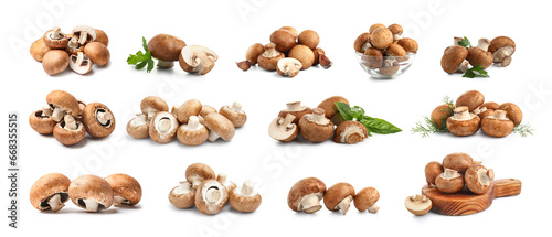 Set of many champignon mushrooms isolated on white