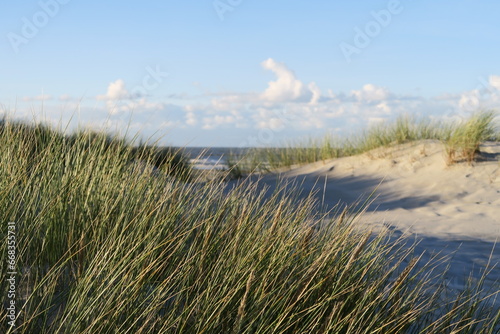 Strandgras wächst am Strandübergang vom Prins Bernhardweg auf der Watteninsel Schiermonnikoog in den Niederlanden. photo