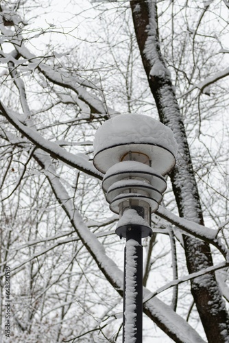 Snow-covered trees and a lantern in a city park.