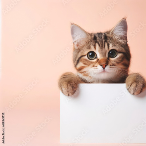 a cute tabby cat holding with blank white board on pastel background. ai generative