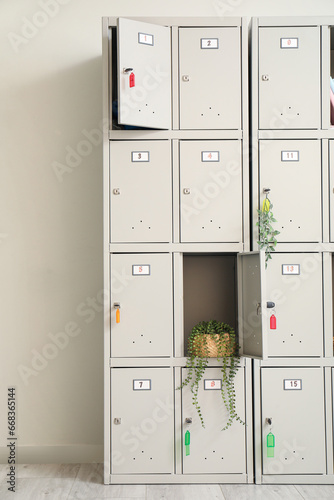 Modern locker with plant ne...