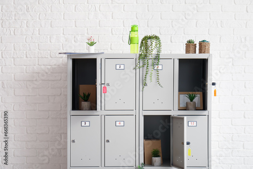 Modern locker with plants n...