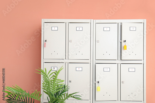 Modern locker with palm nea...