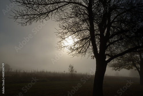 Morning Fog on the Lake