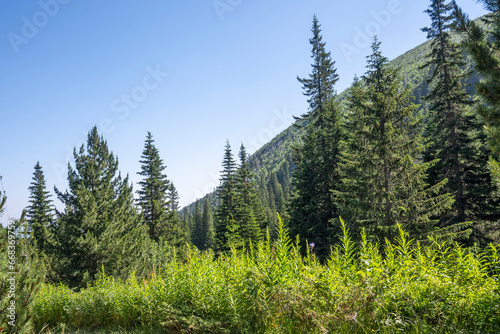 Summer landscape of Rila Mountain, Bulgaria