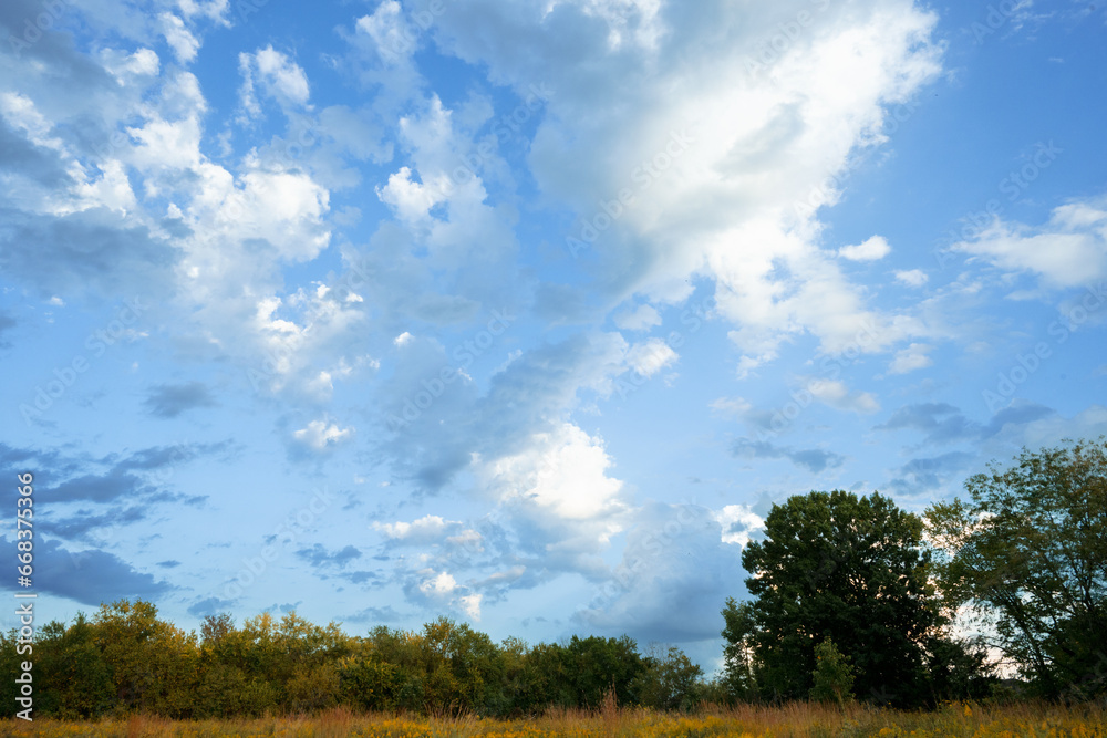 Blue Sky with Fluffy white clouds over green meadow