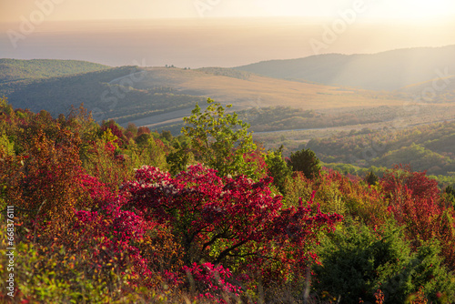 Fototapeta Naklejka Na Ścianę i Meble -  beautiful views of hilly landscapes with Christmas trees and red trees in autumn, springtime.