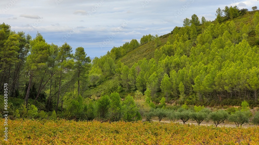 Autumn landscape in the Alpilles Mountains, Saint Etienne du Grès, Provence, France. Vineyard, forest pine, hill, blue sky.