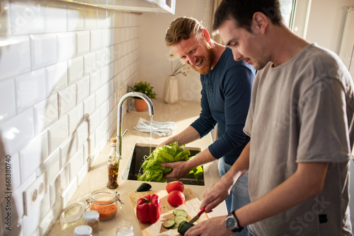Young same sex male couple cutting fresh vegetables in modern kitchen