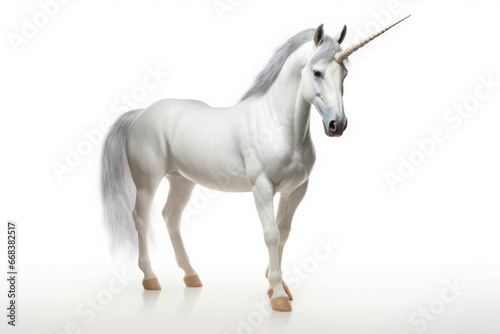 fantasy unicorn isolated on white background