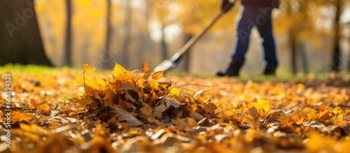 Man volunteers to clean park by using rake to clear fallen autumn leaves promoting ecological ideals