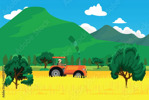 Farmer on tractor mows wheat field