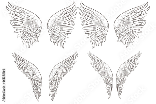 set of sketched angel wings