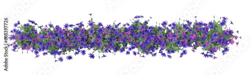 Flowers border isolated on transparent background. 3D illustration.