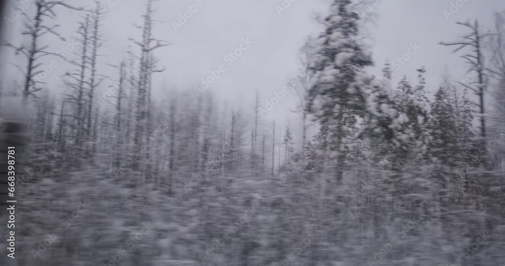The train's perspective captures the essence of a heavy snowfall, with woods standing frozen and undisturbed. The train's perspective captures the essence of a heavy snowfall, with woods standing frozen and undisturbed.