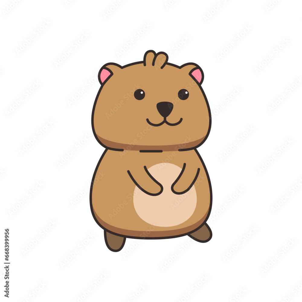Cute cartoon quokka. Vector illustration isolated on white background. Cute cartoon quokka. Vector illustration isolated on white background.