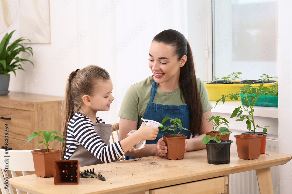 Mother and daughter spraying seedling in pot together at wooden table in room Mother and daughter spraying seedling in pot together at wooden table in room