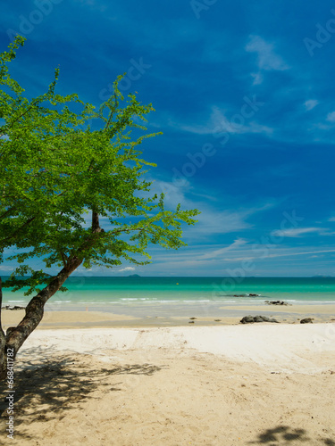 Beautiful Landscape summer vertical look front view nobody  tropical sea beach white sand clean and blue sky background calm Nature ocean wave water travel day time at Sai Kaew Beach Thailand Chonburi