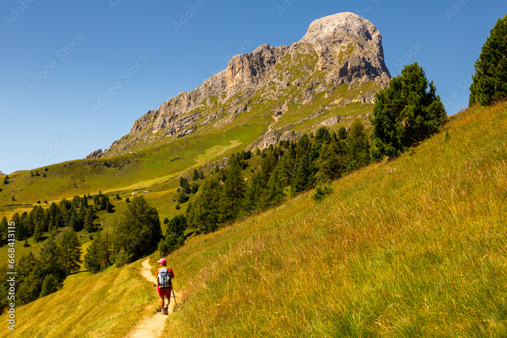 Obraz premium Summer Landscape of Dolomite Alps at picturesque Goma Pass.