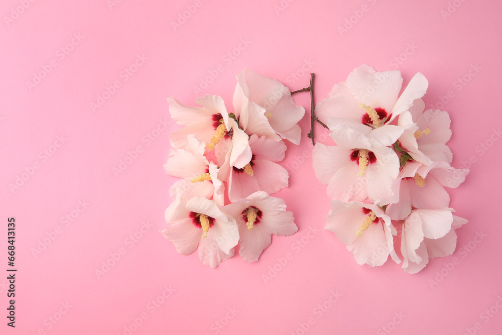 Human lungs made of white flowers on pink background, flat lay. Space for text