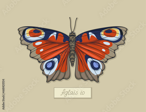 Butterfly aglais io concept. Colorful and bright insect with wings. Fauna and wildlife. Sticker for social networks and messengers. Cartoon flat vector illustration isolated on beige background