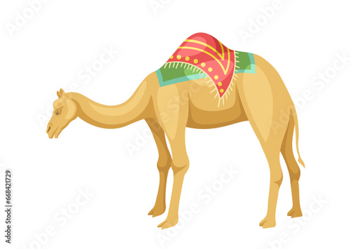 Indian camel with saddle concept. Animal with traditional indian clothes. Fauna and wild life. Sticker for social networks. Cartoon flat vector illustration isolated on white background