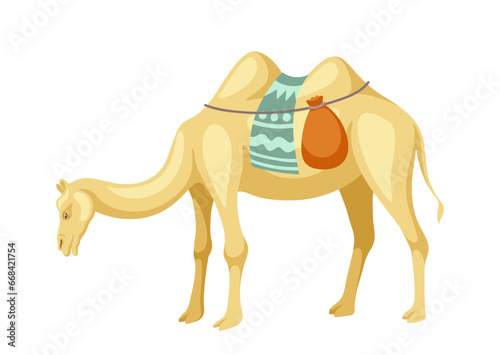 Indian camel with saddle concept. Animal with traditional indian clothes. Transport of caravan for desert. Template and layout. Cartoon flat vector illustration isolated on white background