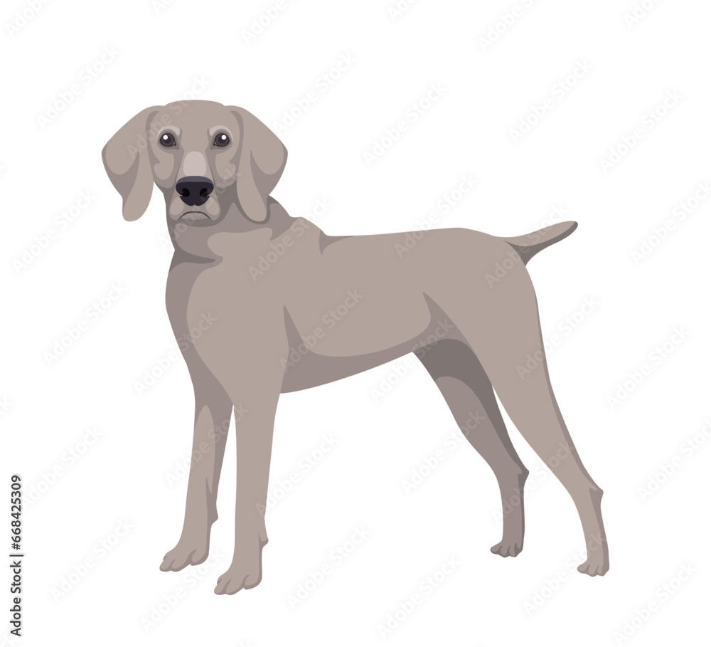 Cute dog concept. Adorable breed of pet and domestic animal. Mammal and wild life. Grey doggy. Poster or banner for website. Cartoon flat vector illustration isolated on white background Cute dog concept. Adorable breed of pet and domestic animal. Mammal and wild life. Grey doggy. Poster or banner for website. Cartoon flat vector illustration isolated on white background