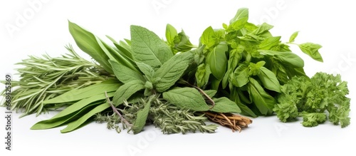 Selective focus on fresh sage tarragon mint and spinach herbs