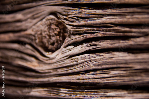 Detalle de vetas de madera photo