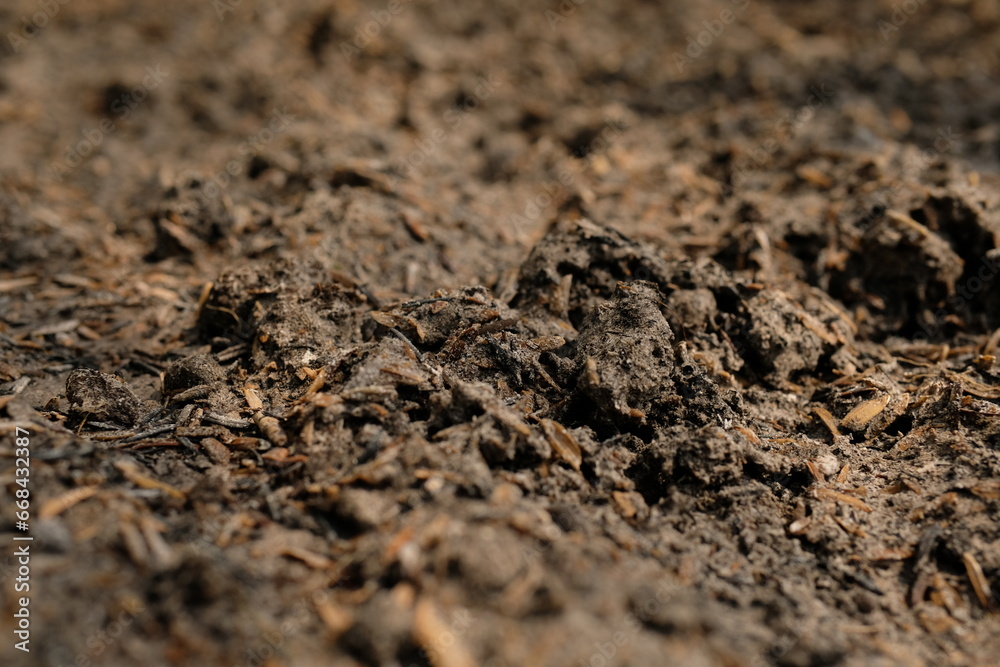 Close-up of soil texture for agriculture background. Natural soil background