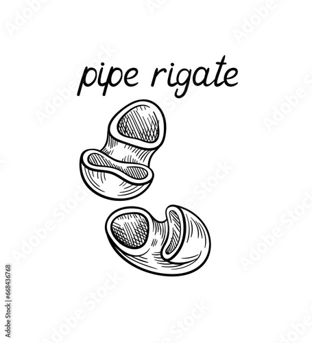 Pasta line concept. Pipe rigate shape of macaroni. Traditional italian cuisine and kitchen. European food. Template and layout. Linear flat vector illustration isolated on white background